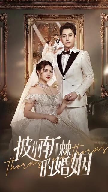 新版：披荆斩棘的婚姻