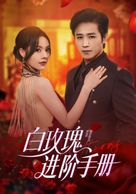 白玫瑰进阶手册