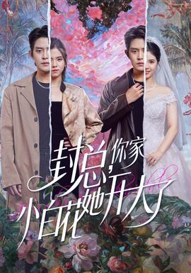 封總，你家小白花她開大了