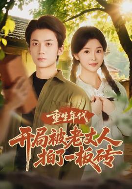 重生年代開局被老丈人拍了一板磚